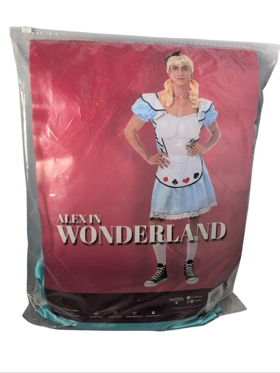 hauntloook Other - Hauntlook Alex in Wonderland Halloween Costume Size Large